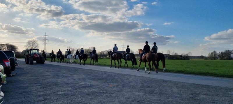 Eine Gruppe Reiter, von hinten gesehen, auf dem Weg ins Gelände. Weite Felder unter blauem Himmel.