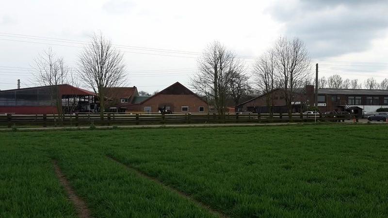 Blick über eine grüne Wiese auf die Hofgebäude und Stallungen in Haldern.