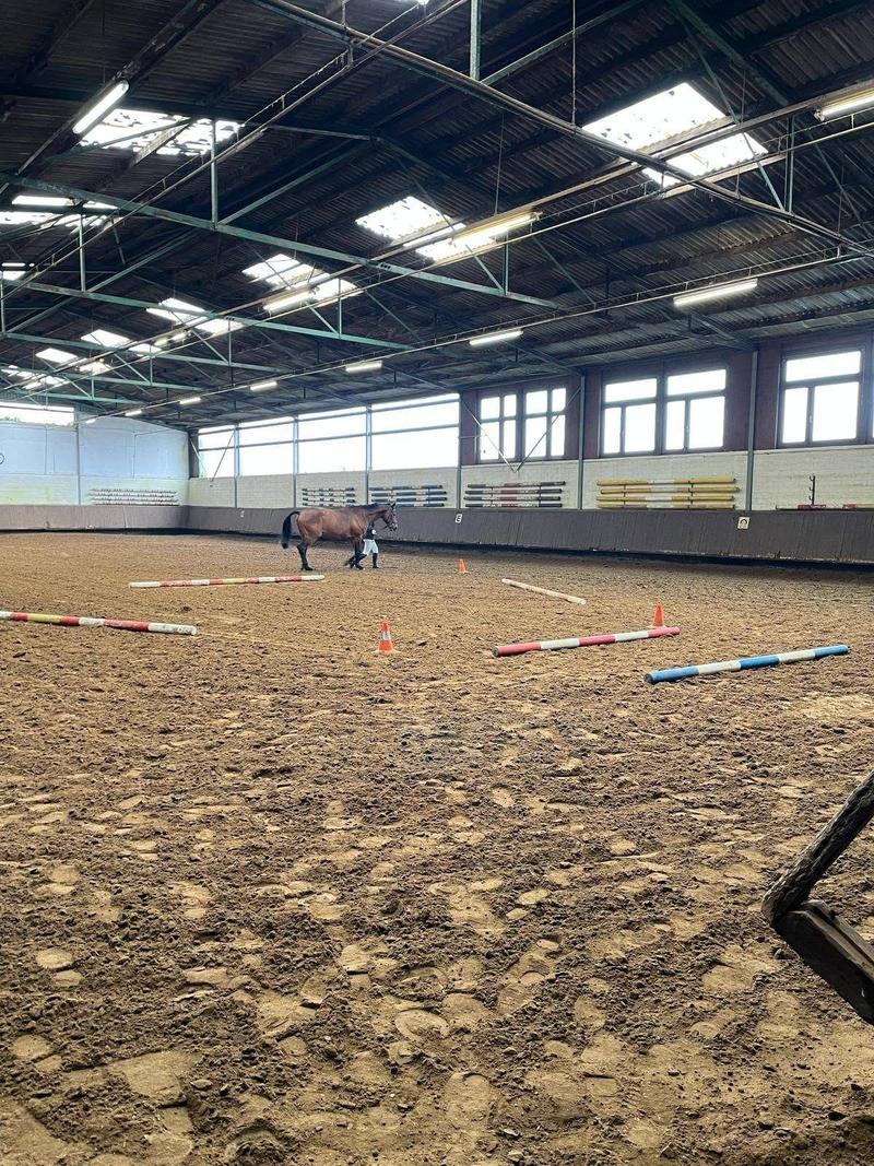 Die Reithalle von innen: Sandboden mit Stangen, im Hintergrund ein Pferd.
